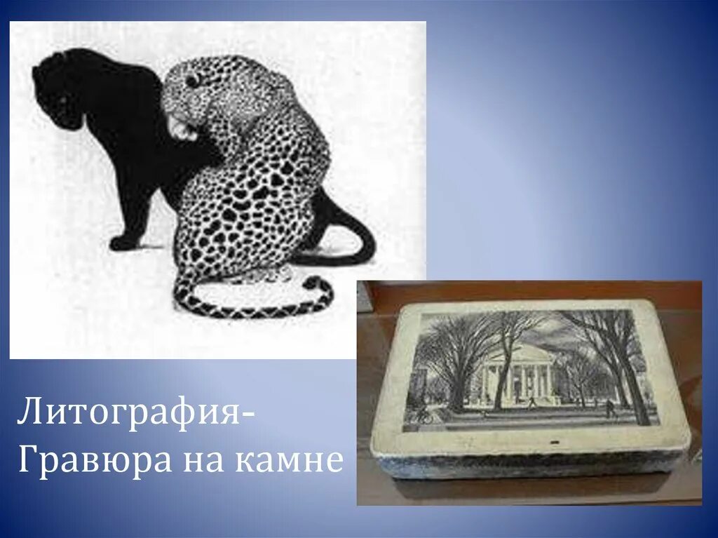 Карел скала картины. Литография природа. Линогравюра офорт. Современная гравюра. Цветная гравюра.