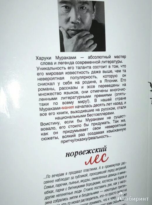 Мураками норвежский лес краткое содержание. Харуки мураками норвежский лес цитаты. цитаты харуки мураками из книг.