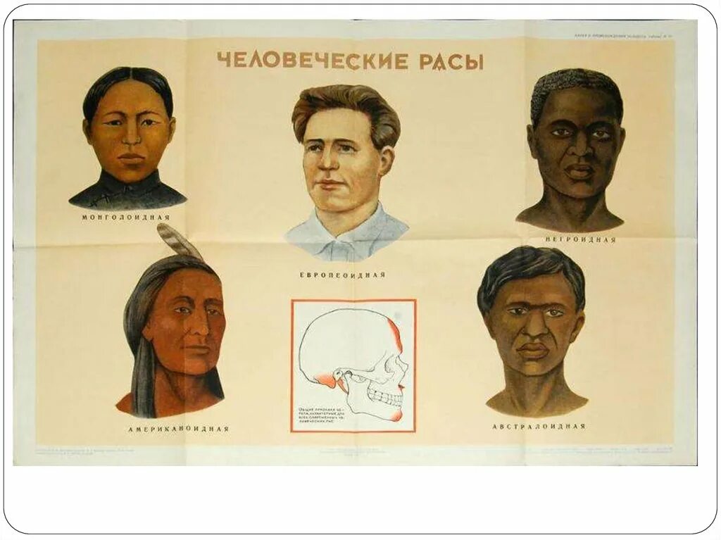 Расы людей. Человеческие расы. Расы людей на земле. 4 Расы людей.