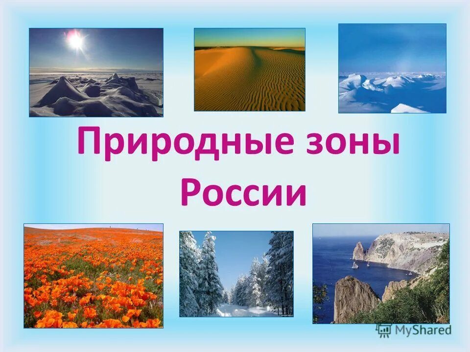 Природные зоны фото 4 класс. Природные зоны России. Природные зоны картинки. Природные зоны России картинки. Природные зоны России для дошкольников.