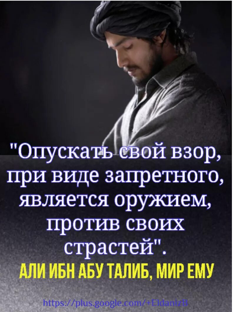 Перевела взор
