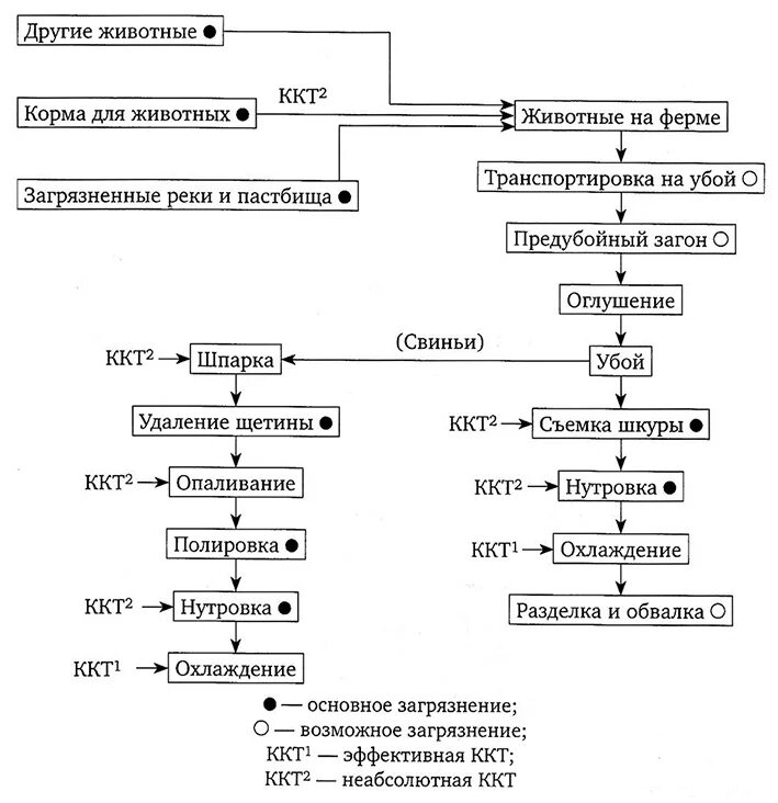 Таблицы ккт. Контрольно-критические точки ХАССП на производстве. Контрольные критические точки по ХАССП. Блок-схема производственного процесса ХАССП. Критические контрольные точки при производстве.