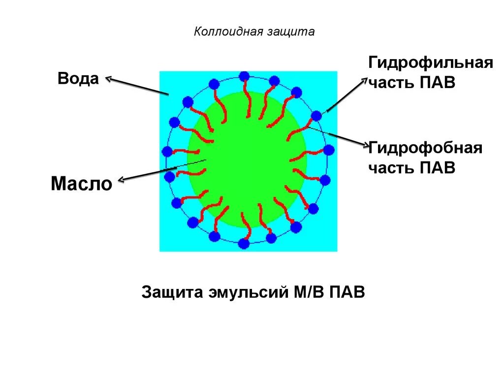 Пав и вмс. Механизм коллоидной защиты. коллоидная защита вмс и пав. коллоидные растворы защита коллоидов. коллоидная защита. механизм коллоидной защиты..