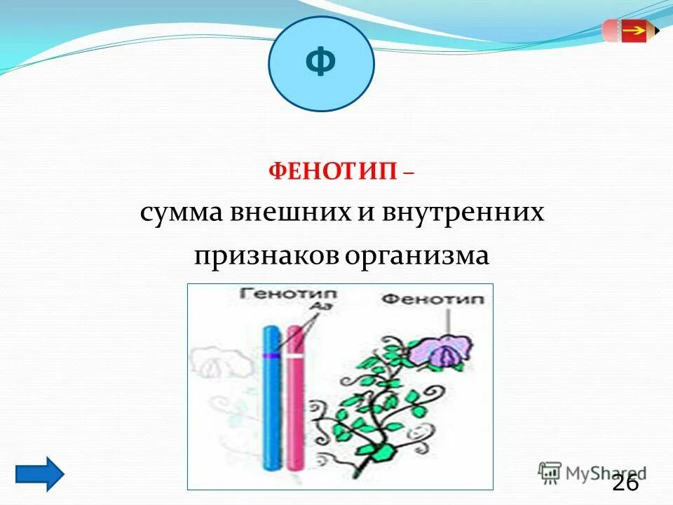 Сумма внешних и внутренних признаков. Сумма внешних и внутренних признаков. Сумма внешних и внутренних признаков. Верны ли суждения о прибыли производства. Кроссворд живые организмы.