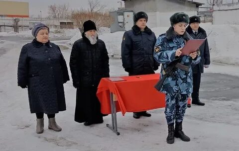 Сизо гуфсин