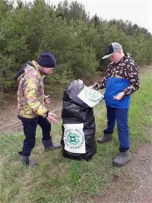 Погода в пазяле