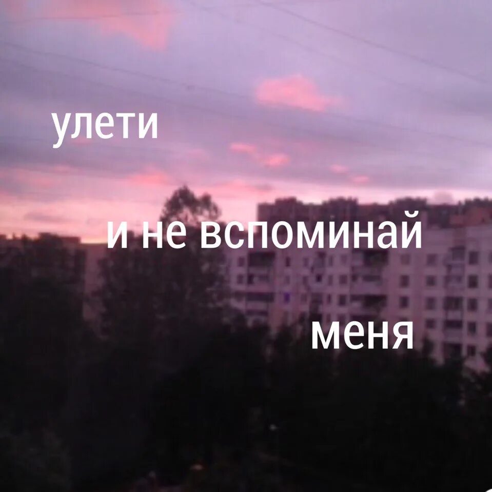 Вспоминай меня speed up. Улети и не вспоминай меня, улети.. не вспоминай меня. улетит и не вспоминай меня. песня улети и не вспоминай меня.
