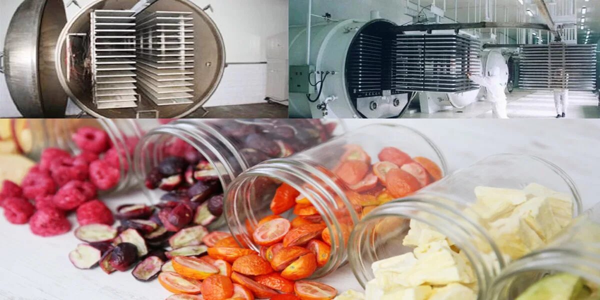 Сублимационная сушка продуктов. Вакуумная сублимационная сушка. Лиофильная сушильная камера. Оборудование для сушки сухофруктов. Сублимированная сушка это.