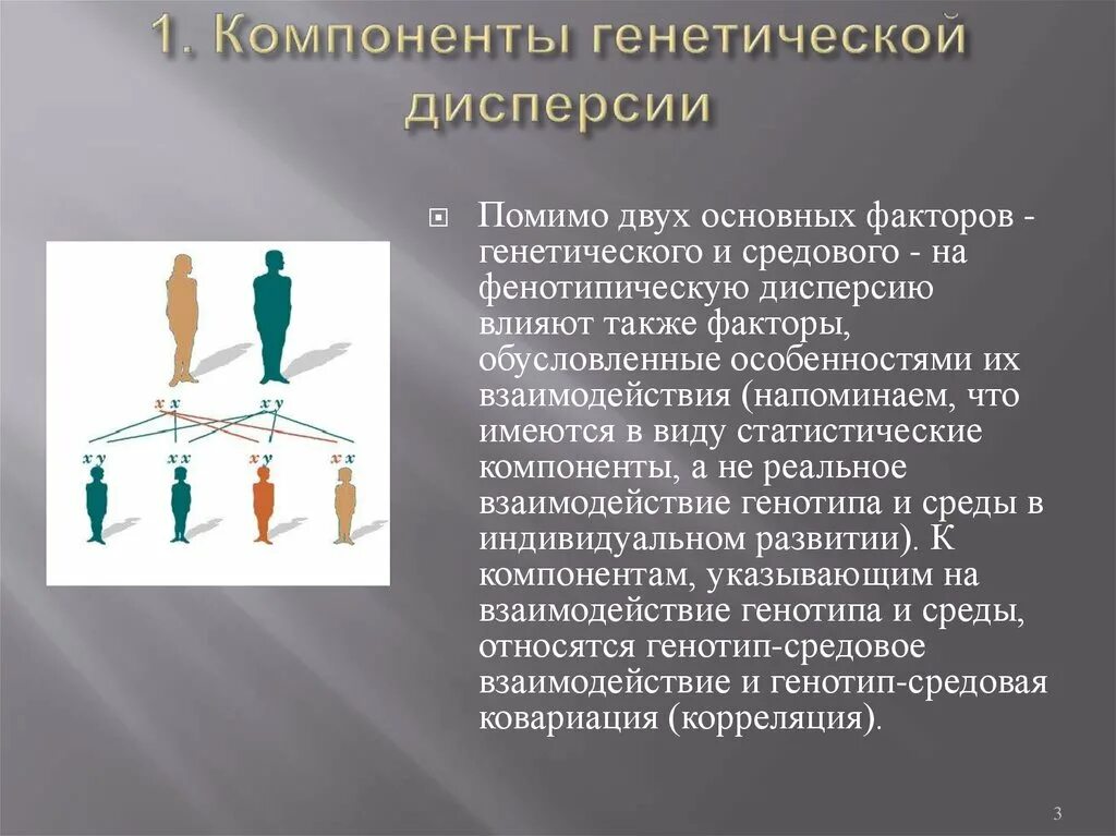 Средовые влияния на развитие. Генетические компоненты фенотипической дисперсии. Компонентом фенотипической дисперсии является. Компоненты фенотипической дисперсии. Генетическая и фенотипическая структура популяции.