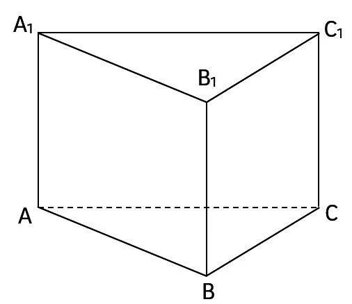 Прямая Призма в основании прямоугольный треугольник. Призма с основанием прямоугольного треугольника. Прямоугольная треугольная Призма. Прямая Призма в основании которой лежит прямоугольник.