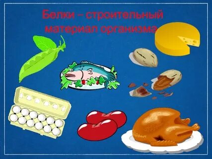 Белок строительный материал для клеток