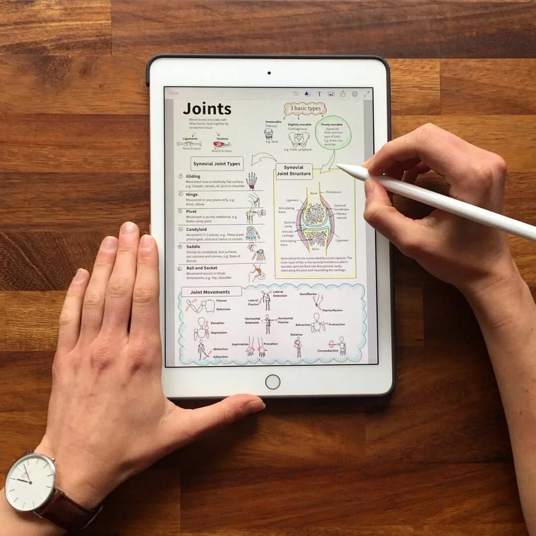 Minded приложение для учебы. Планшет для учебы. Айпад для учебы. Заметки айпад. Айпад со стилусом для учебы.