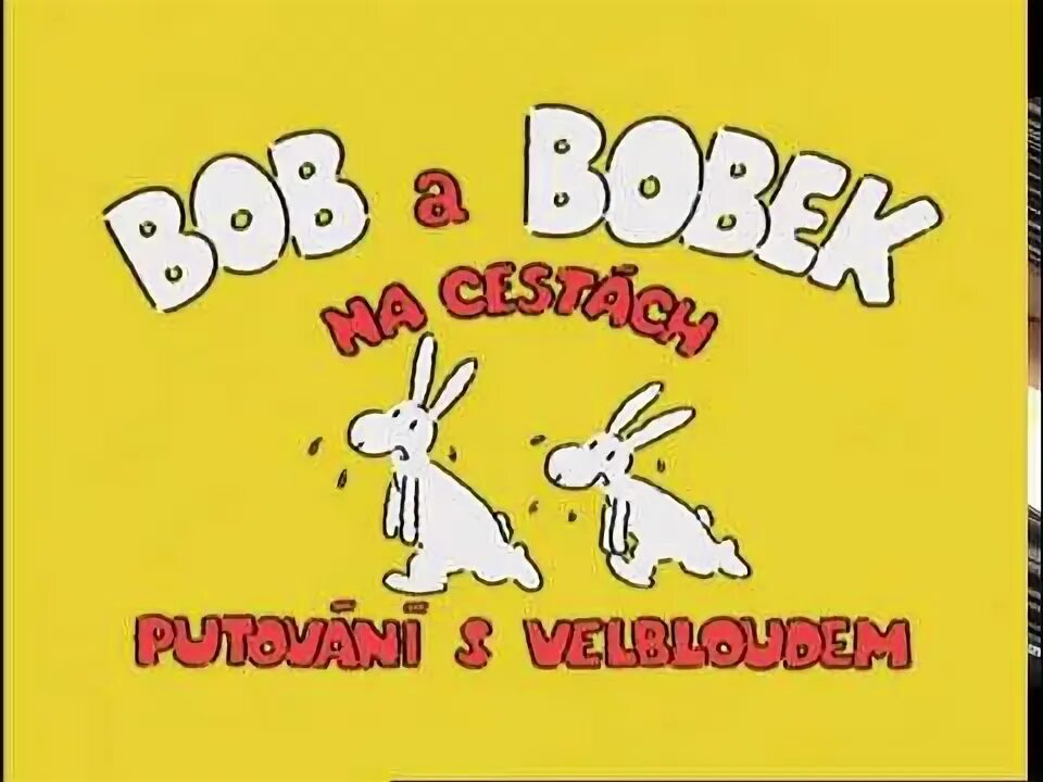 Bob travel. Bob travel
