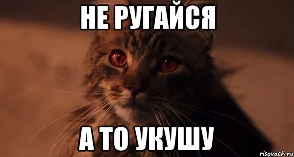 Ешь кусай люби