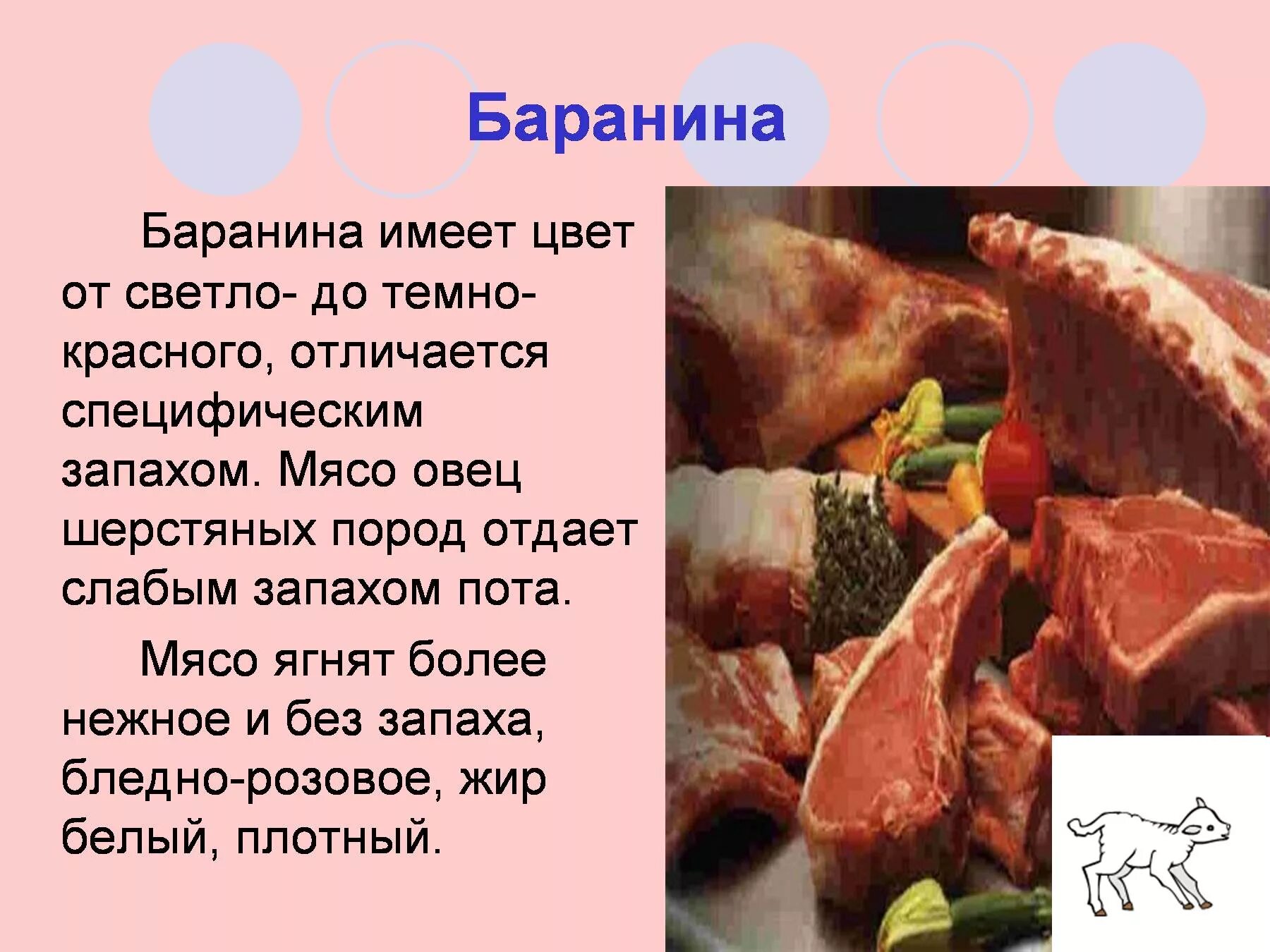 Презентация на тему мясные продукты. Сообщение на тему мясо. Тема для презентации мясных продуктов.