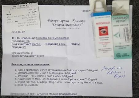Выписать рецепт на капли