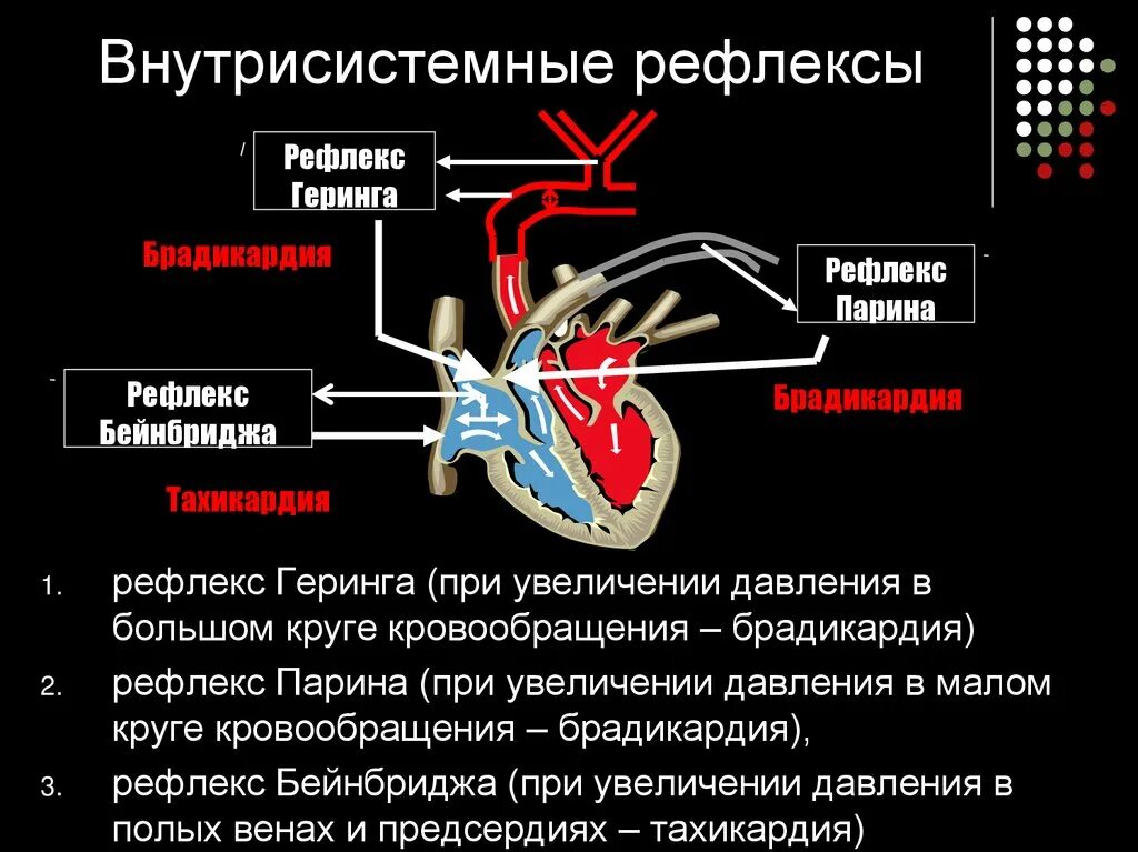 Центр безусловно рефлекторной регуляции кровяного. Рефлекс Геринга физиология сердца. Рефлекс Чермака-Геринга физиология. Схемы кардиальный рефлекс парина. Рефлекс Бейнбриджа регуляция.