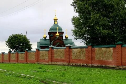 Туринск животные