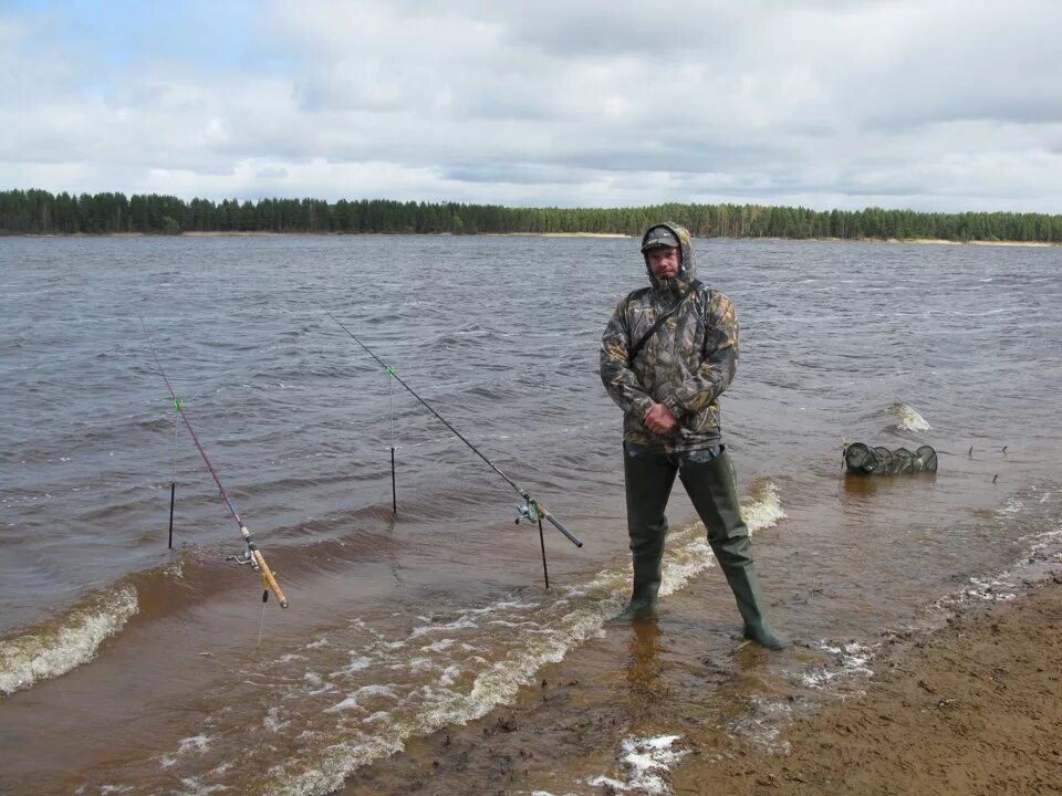 Ловля на рыбинском. Весьегонск Рыбинское водохранилище. Противье Рыбинское водохранилище. Река Молога Весьегонск. Рыбинское водохранилище рыбалка.