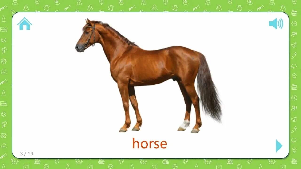 Лошадка по английски. Карточки для детей лошадка. Лошадь картинка для детей. Карточка лошадь. Домашние животные лошадь для детей.