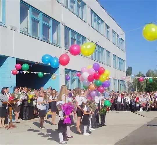 Лицей 12 железногорск. 12 Школа Железногорск Курской области. Город Железногорск Курская область лицей 12. Фото лицей 12 Железногорск Курская область. Лицей 12 Железногорск Курской области директор.