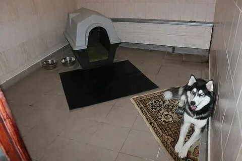 Передержек ростов на дону