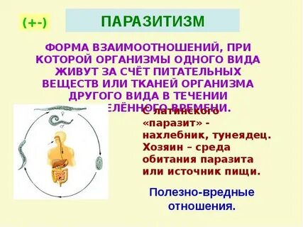 Форма взаимоотношений при которой один вид
