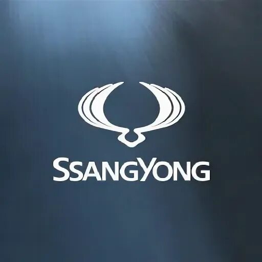 Значок саньенг. Знак Санг Йонг. Санг енг лого. Санг енг логотип вектор. Новый значок Санг Йонг.