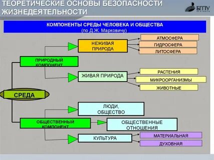 Тест опасные программы и явления цифровой среды