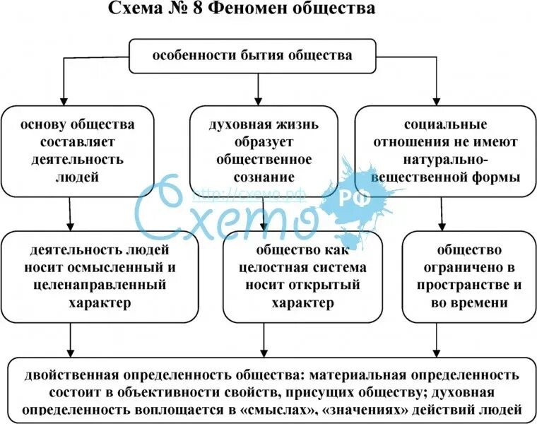 Социальное явление определение