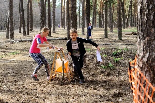 Спортивное ориентирование павловск. Кубок дона спортивное ориентирование. федерация спортивного ориентирования россии. всероссийские соревнования «тихий дон» личные соревнования..