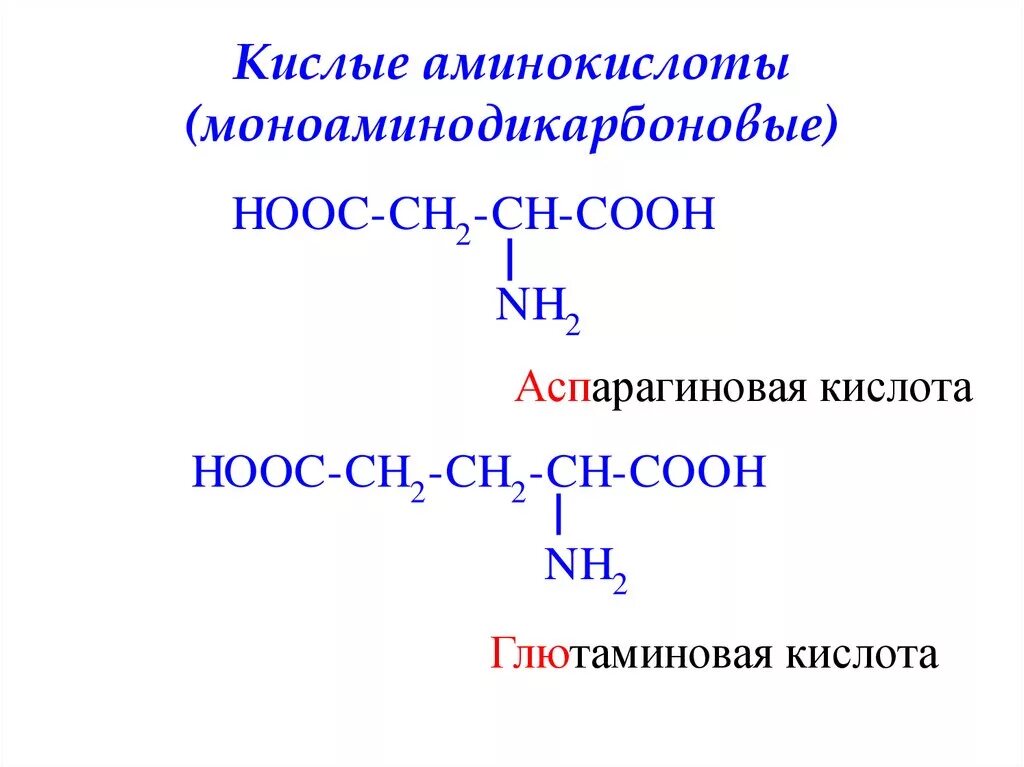 Кислотно основные аминокислоты