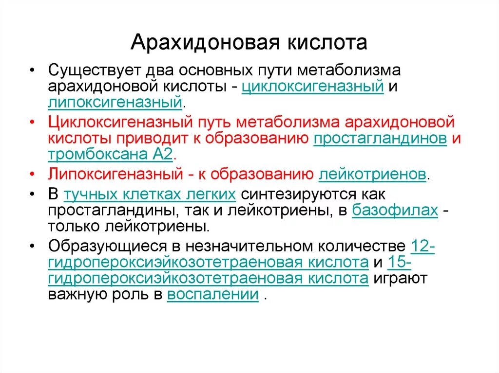 Структура арахидоновой кислоты. Строение арахидоновой кислоты. Роль арахидоновой кислоты в организме. Урсодидиновая кислота. Формула арахидоновой кислоты