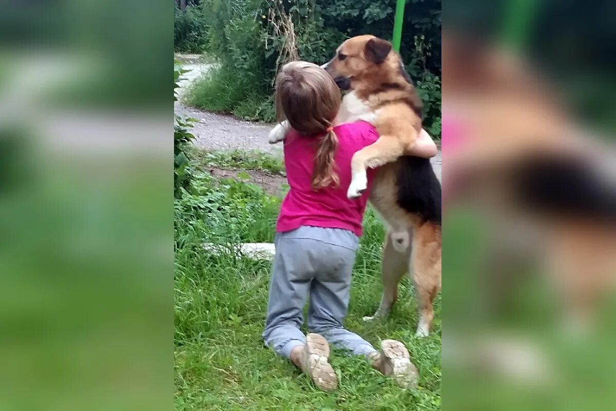 Детское нападение. Собаки накинулись на ребенка.