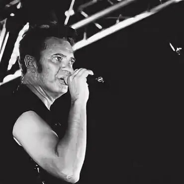 борзыкин хаос