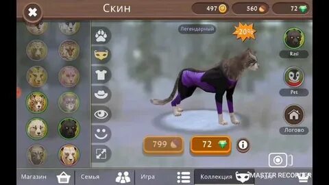 Как получить вилд клуб