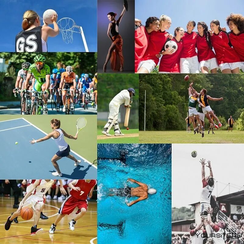 Спорт в австралии крикет. Известные женщины австралии. Sport in australia. Спорт в австралии. Sport in australia.