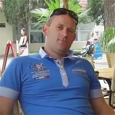 Хома краснодар. Хома краснодар. Хома краснодар. Сирийский хомячок. Смешные хомяки.