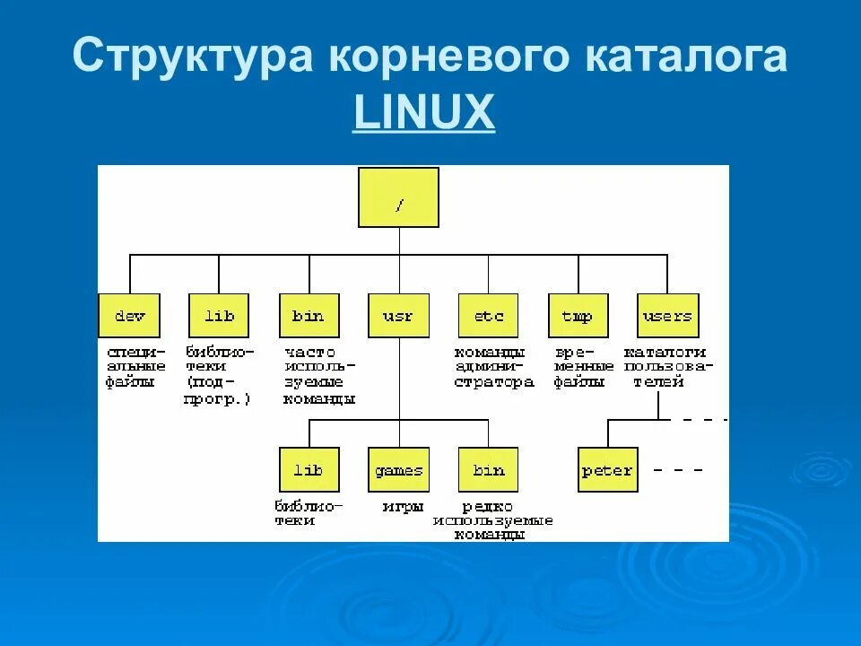 Файловая система ubuntu. Структура файловой системы linux. иерархия файловой системы linux. структура файловой системы ос linux. файловая система линукс корневая.