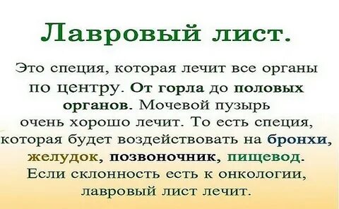 Лавровый лист мочевой пузырь