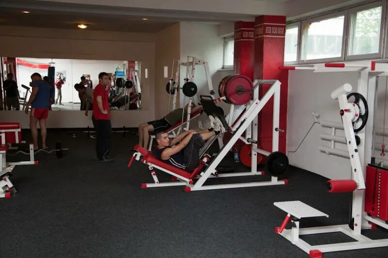 физическая подготовка. деятельность спорт комплексов. спортивное оборудование и инвентарь для спортивного зала. спортзал донецк возле каравана. деятельность спорт комплексов.