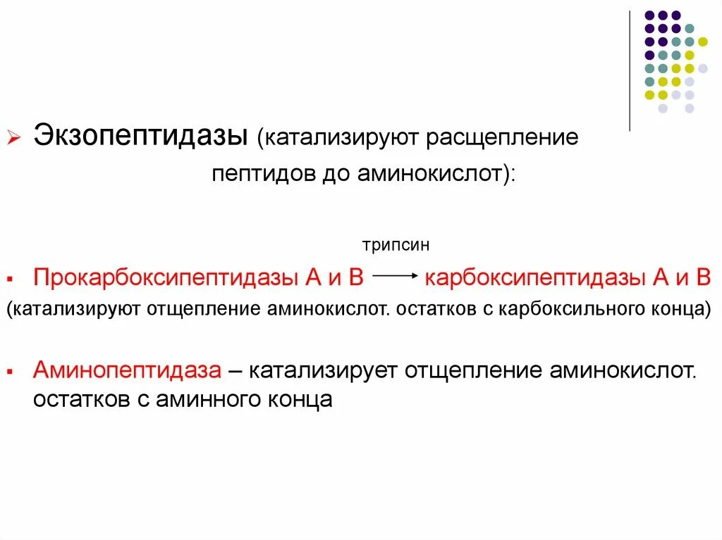 Расщепляет полипептиды. Экзопептидазы. Экзопептидазы биохимия. Расщепление пептидов до аминокислот. Экзопептидазы ЖКТ.