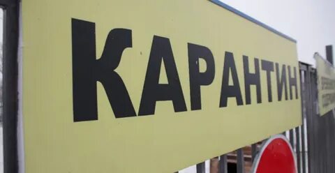 Карантин по бешенству в москве 2024