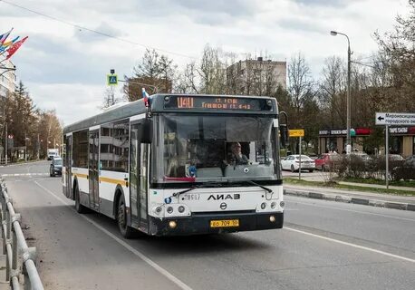 319 истра