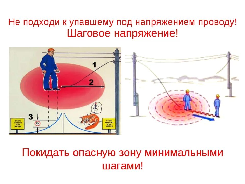 Правила перемещения в зоне шагового напряжения ответ. Зона растекания шагового напряжения составляет. зона растекания тока замыкания на землю. радиус поражения эл током на земле. выход из опасной зоны поражения электротоком.