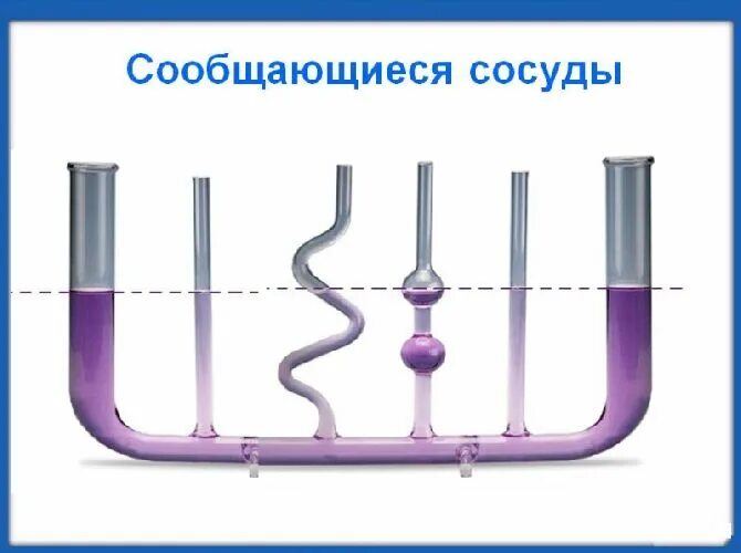 Водопровод физика. Сообщающиеся сосуды. Сообщающиеся сосуды физика. Сообщающийся сосуд. Сообщающиеся сосуды в природе.