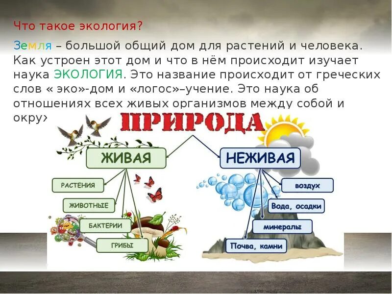 Урок экология 3 класс школа россии. Экология это 3 класс. Экология презентация. Что такое экология 2 класс. Экология презентация 3 класс.