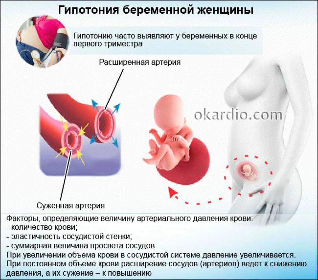 Чем опасен 1 триместр. Давление у беременных 2 триместр. Низкое давление при беременности. Низкое ад при беременности 1 триместр. Пониженное давление при беременности 1 триместр.