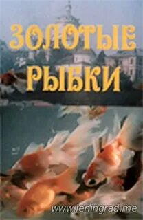 Золотые рыбки 1981