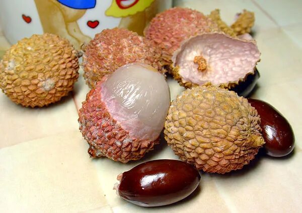 фрукт похожий на ежика. рамбутан личи дуриан. рамбутан зеленый. каштан рамбутан. дуриан.